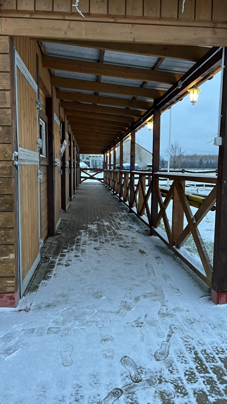 Stajnia Noli - zdjęcie 7