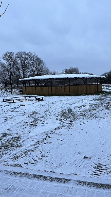 Stajnia Noli - zdjęcie 9