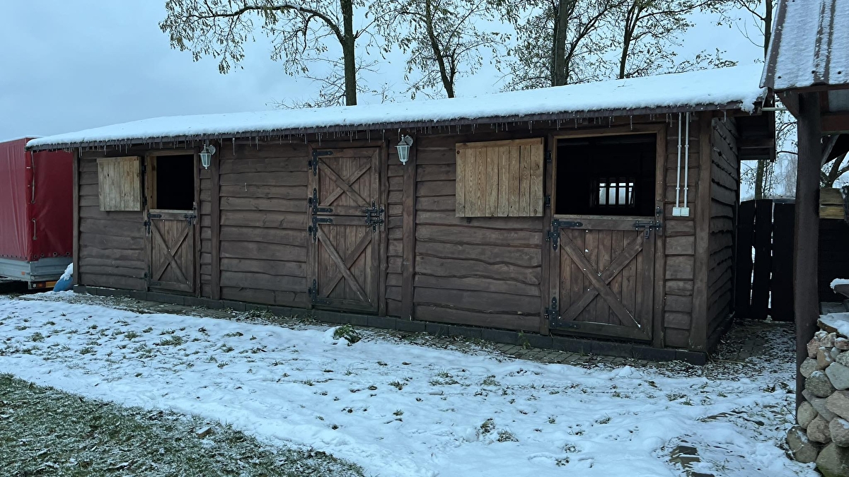 Stajnia Noli - zdjęcie 11