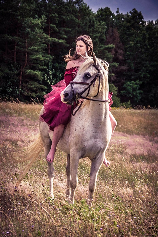 Stajnia Sabat w Lini - zdjęcie 3