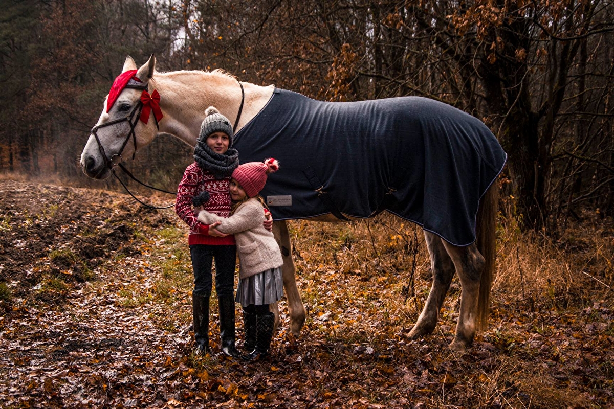 Stajnia Sabat w Lini - zdjęcie 11