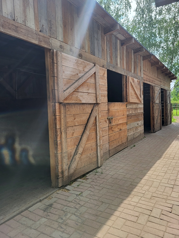 Stajnia Koniki Małe - zdjęcie 5
