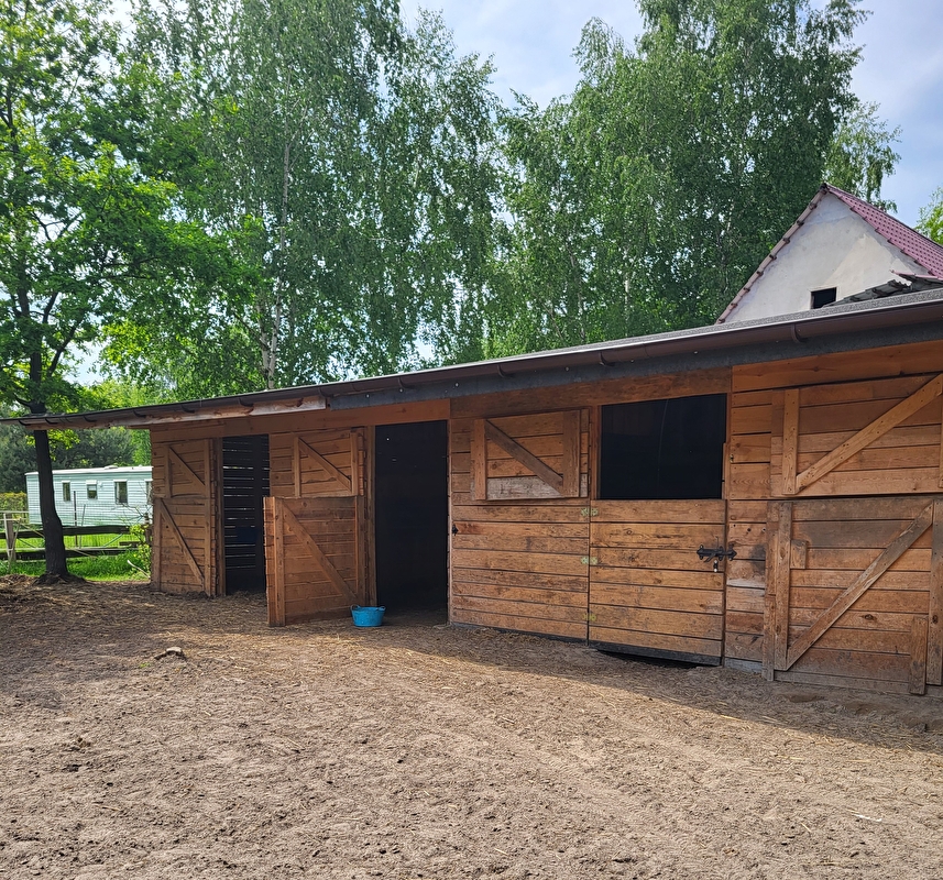 Stajnia Koniki Małe - zdjęcie 10