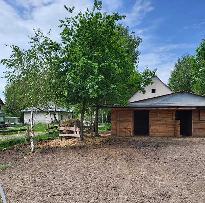 Stajnia Koniki Małe - zdjęcie 11