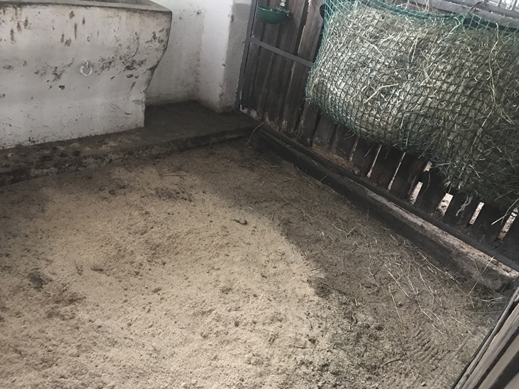 Stajnia HorseCare - zdjęcie 5
