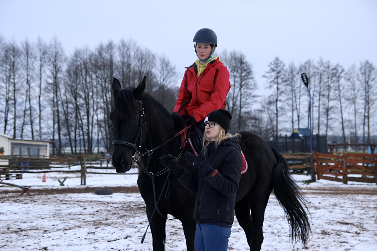 Stajnia Pasja Zębowo - zdjęcie 5
