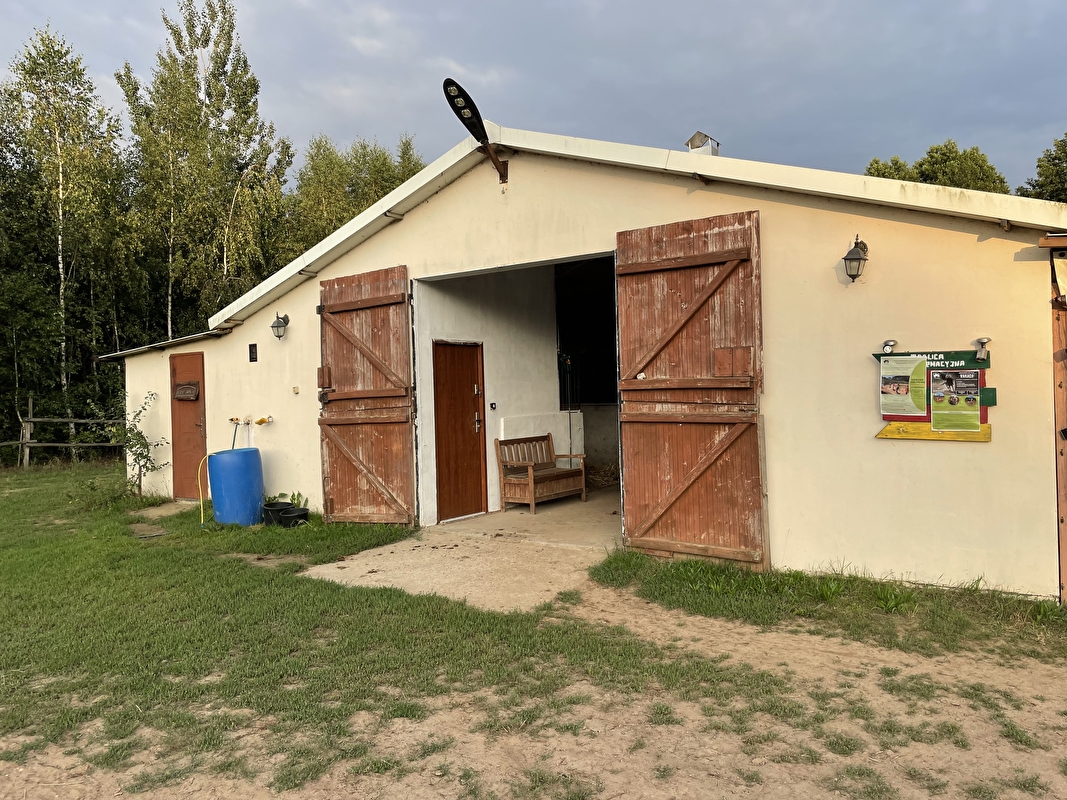 Stajnia Pasja Zębowo - zdjęcie 13