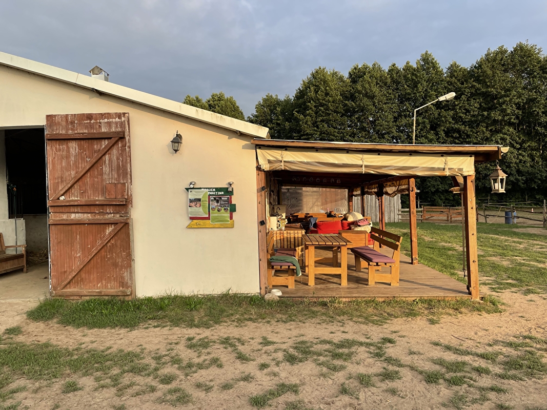 Stajnia Pasja Zębowo - zdjęcie 15