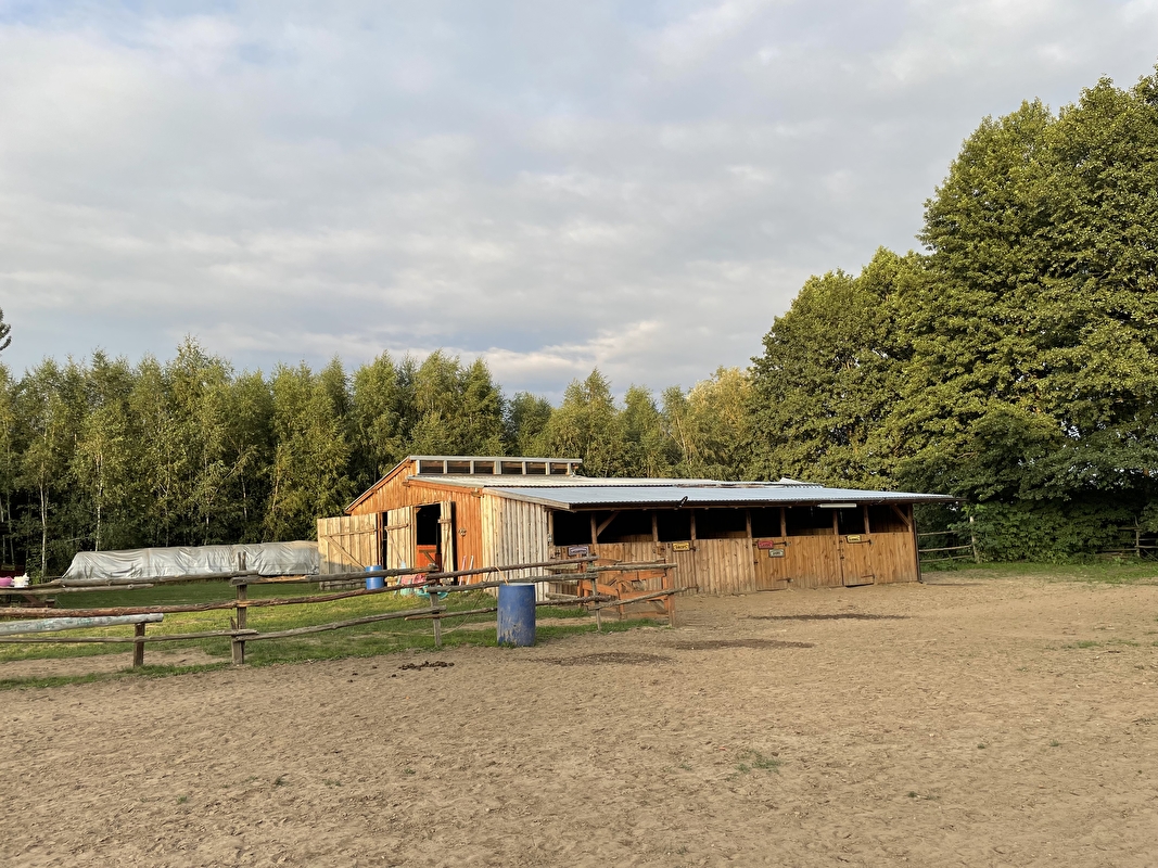 Stajnia Pasja Zębowo - zdjęcie 17