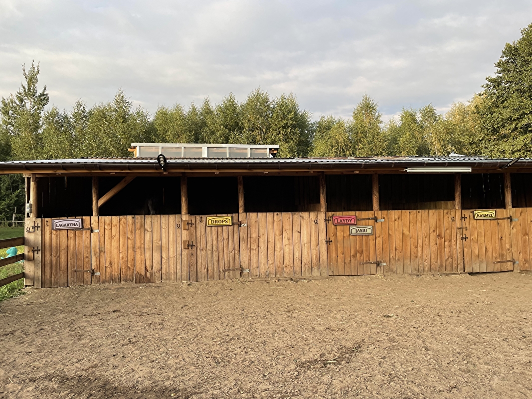 Stajnia Pasja Zębowo - zdjęcie 18