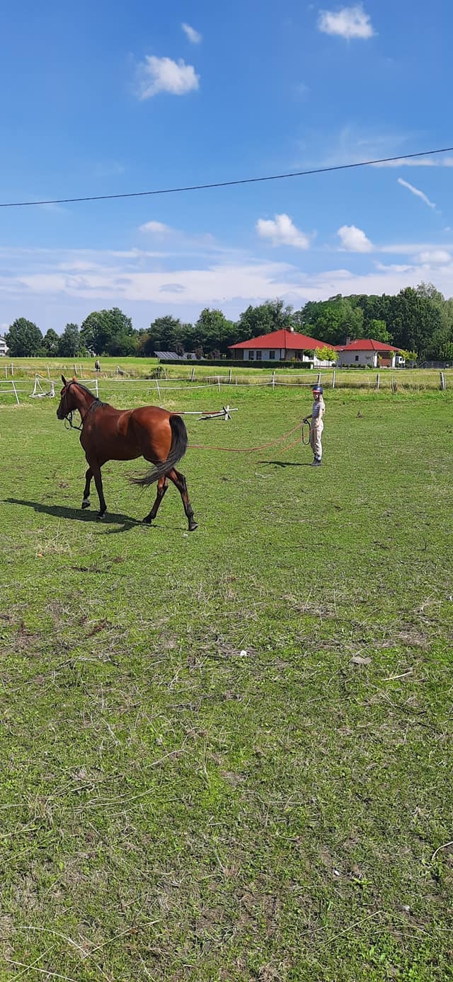 ZBYSZKONIE - MIKSTAT - zdjęcie 4