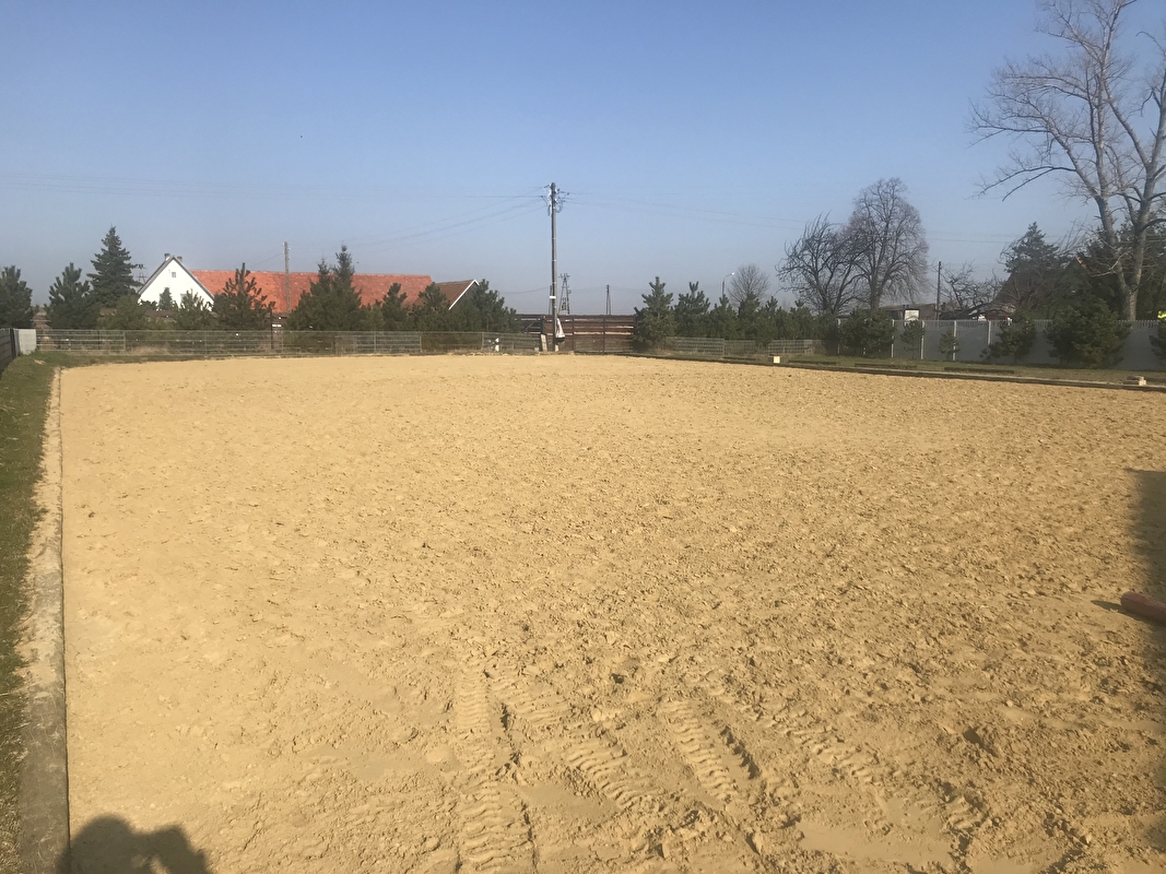 Wasiewicz Western Horses - zdjęcie 4