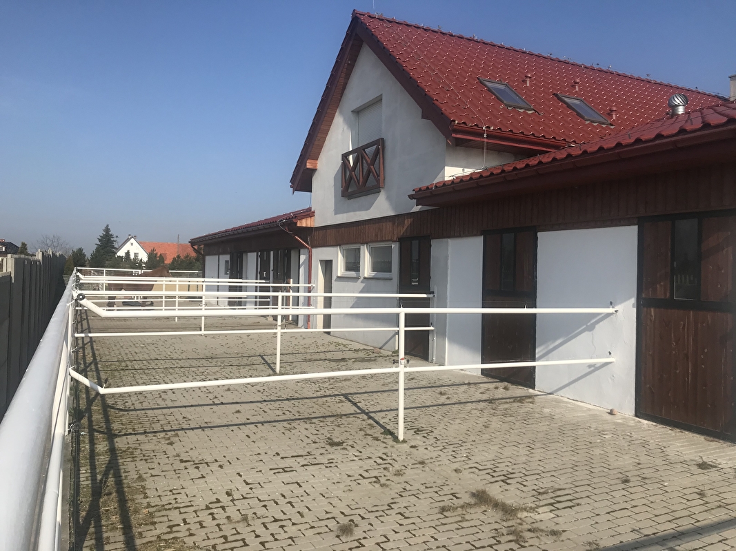 Wasiewicz Western Horses - zdjęcie 9