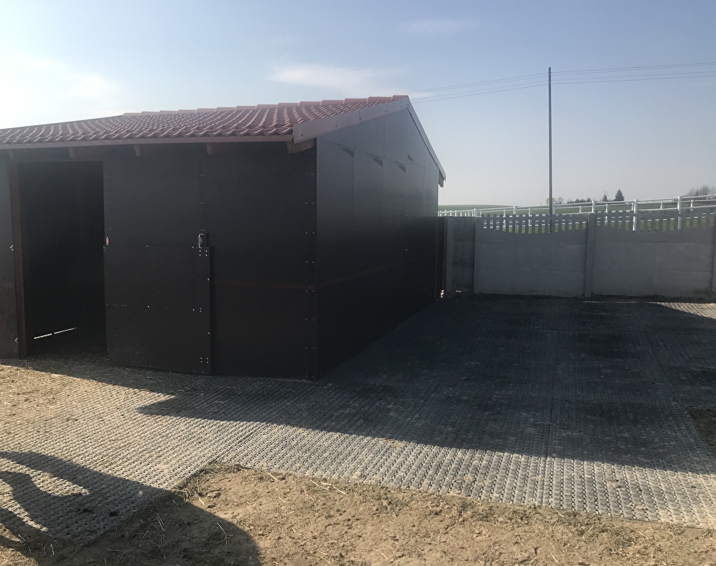 Wasiewicz Western Horses - zdjęcie 12