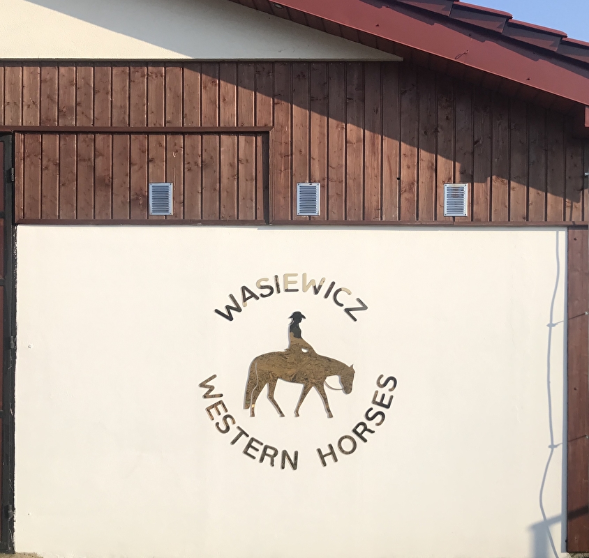 Wasiewicz Western Horses - zdjęcie 16