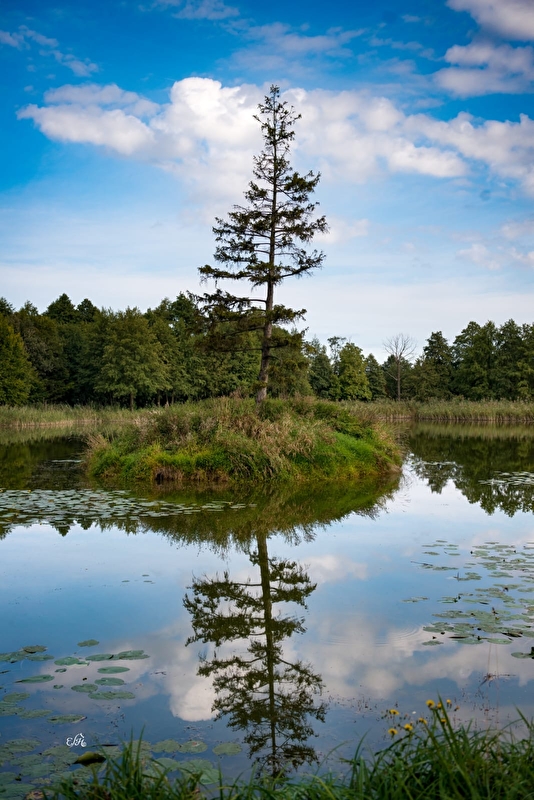 Stajnia Majątek Jabłonna - zdjęcie 16