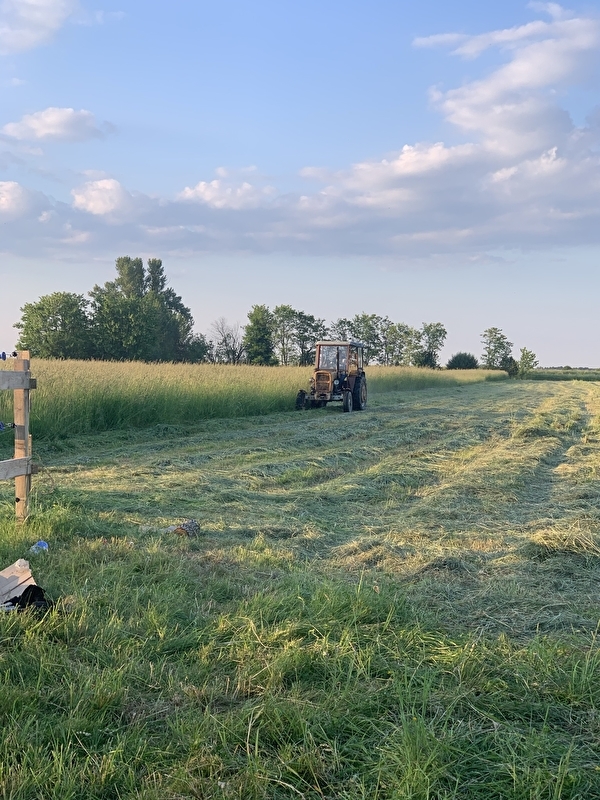 Stajnia Equi Quest Matlawski Riders Academy - zdjęcie 8