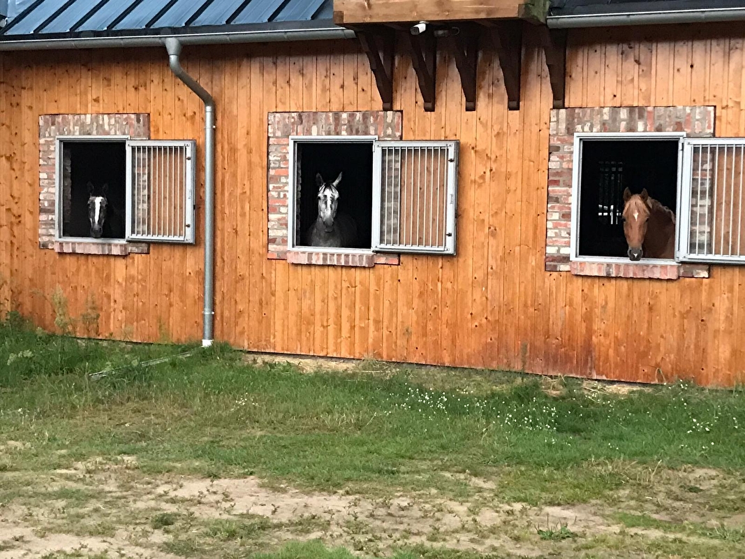 Stajnia Sierniki - zdjęcie 5