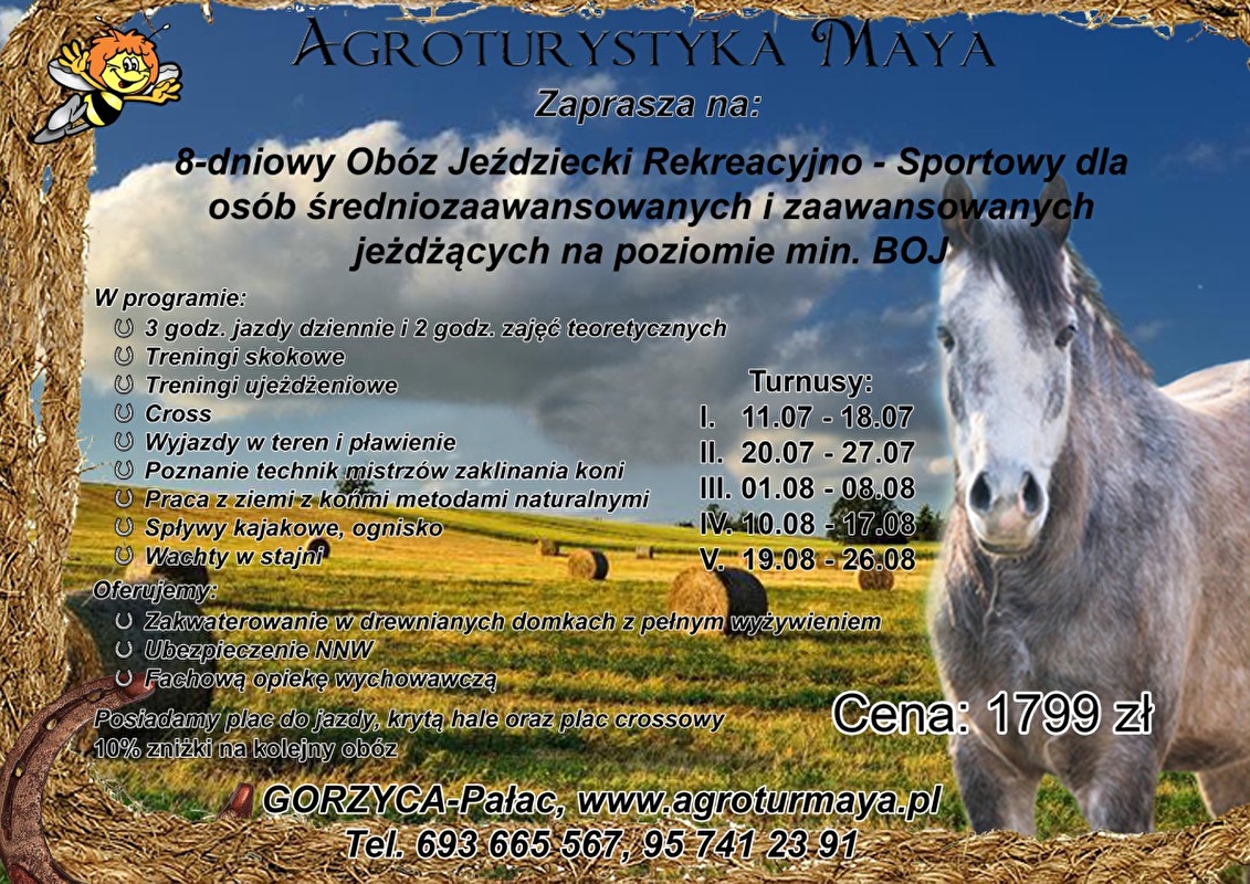 Agroturystyka Maya - zdjęcie 3