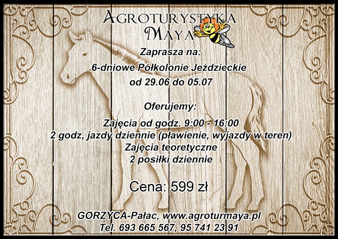 Agroturystyka Maya - zdjęcie 5
