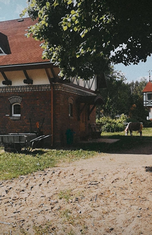 Stajnia Branicz - zdjęcie 5