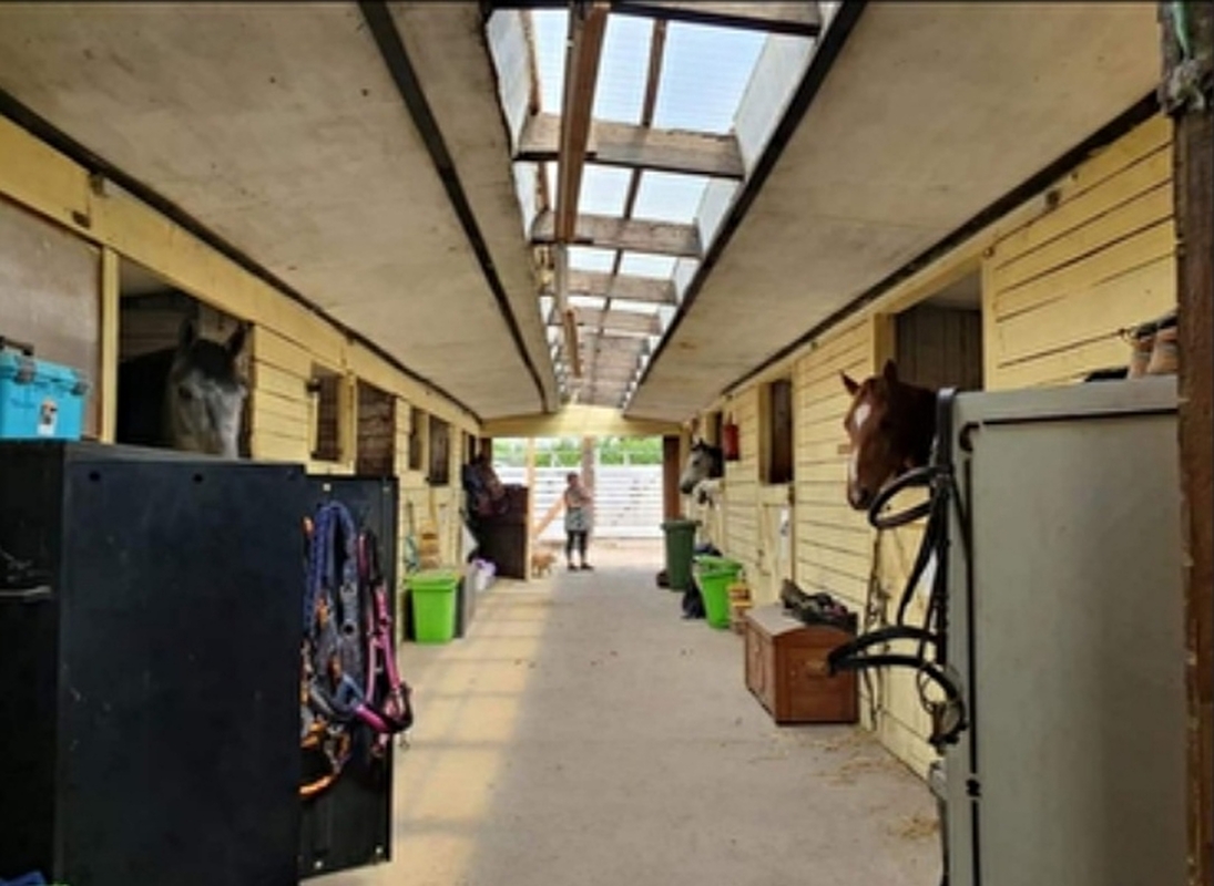 Meisterwalde Stables - zdjęcie 3