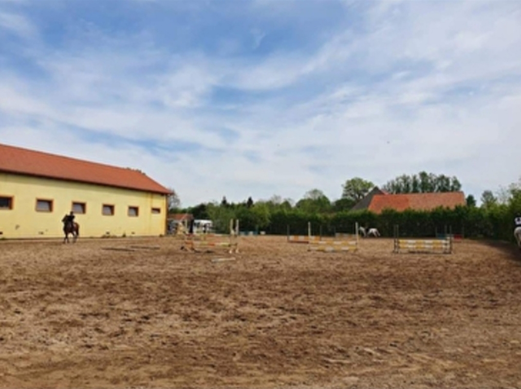 Meisterwalde Stables - zdjęcie 6