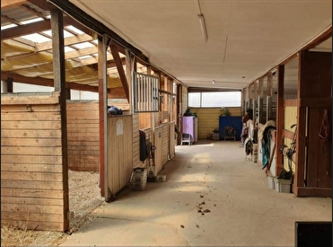 Meisterwalde Stables - zdjęcie 9