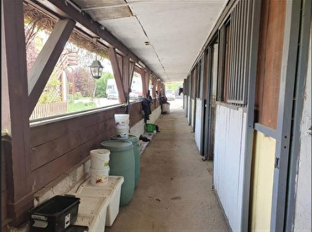Meisterwalde Stables - zdjęcie 10