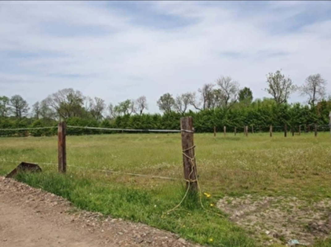 Meisterwalde Stables - zdjęcie 12