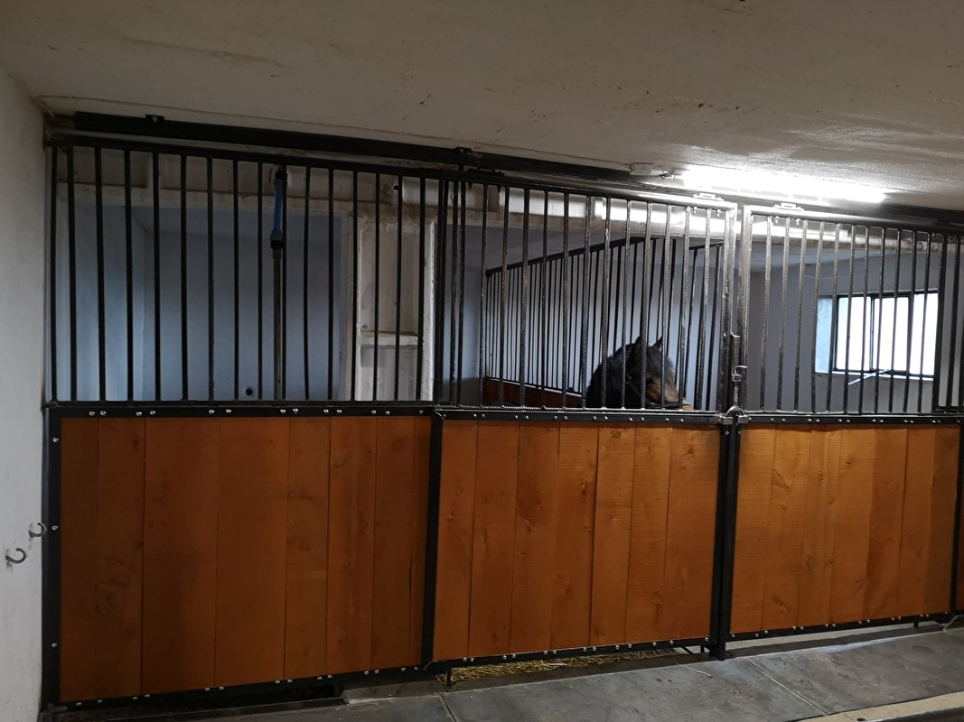 Stajnia pod Koninem w Szczepidle - zdjęcie 4