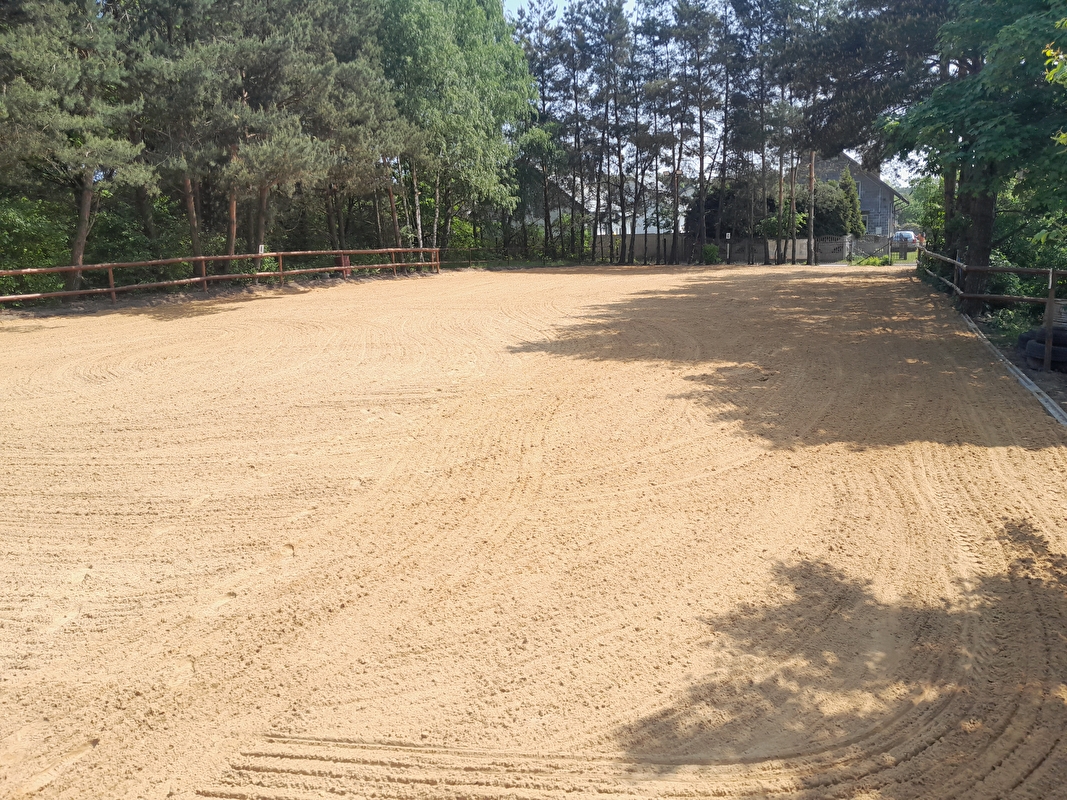 Golden Horse - zdjęcie 1
