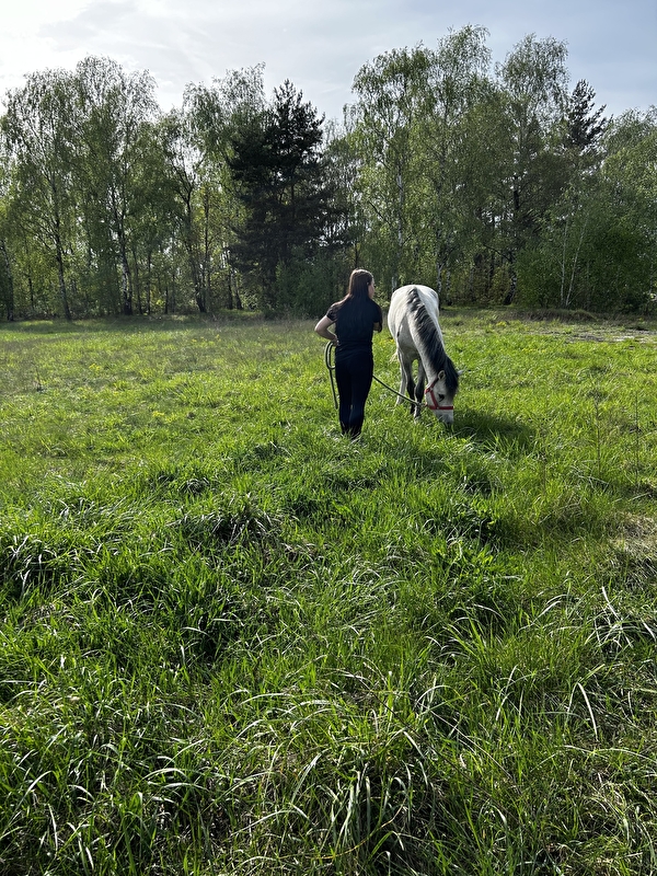 Bamboszkowe Ranczo - zdjęcie 5