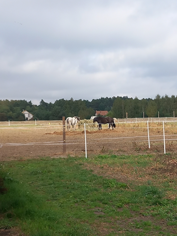 Balck&White Ranch - zdjęcie 5