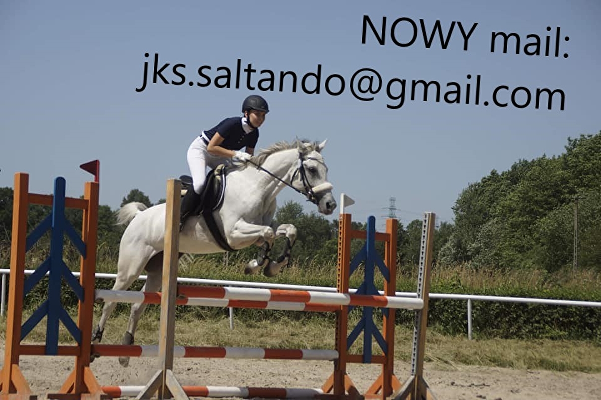 Jeździecki Klub Sportowy SALTANDO sp. z o.o. - zdjęcie 5