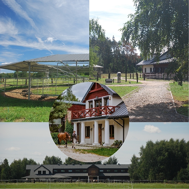Stajnia w Zarębach - zdjęcie 4