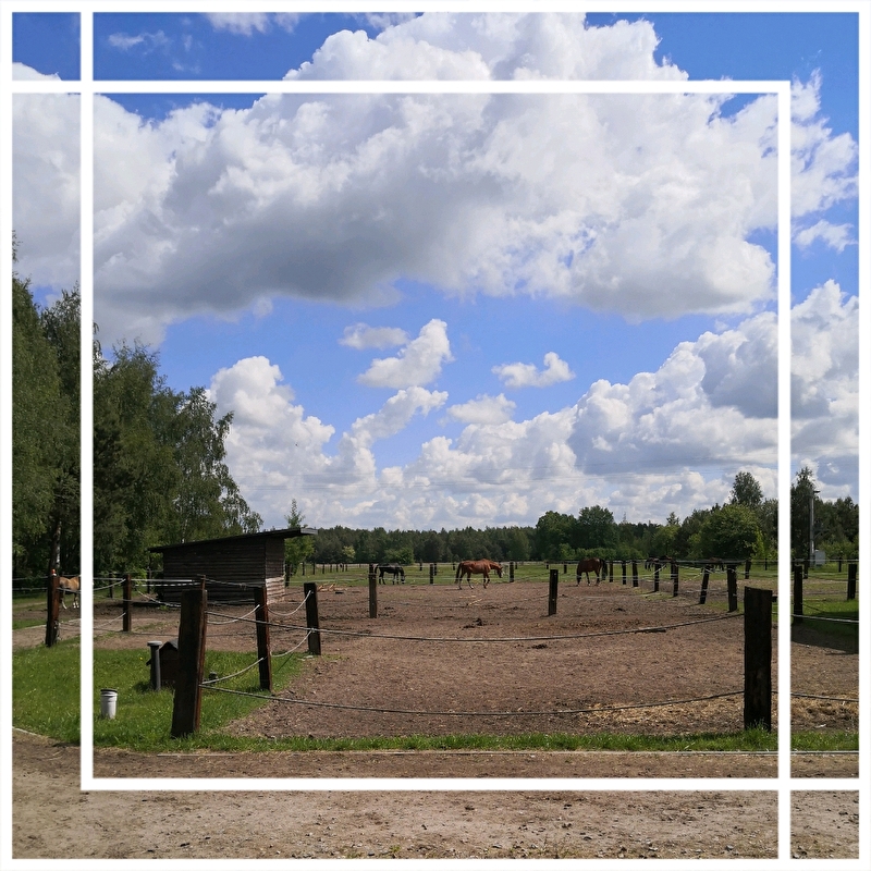 Stajnia w Zarębach - zdjęcie 5