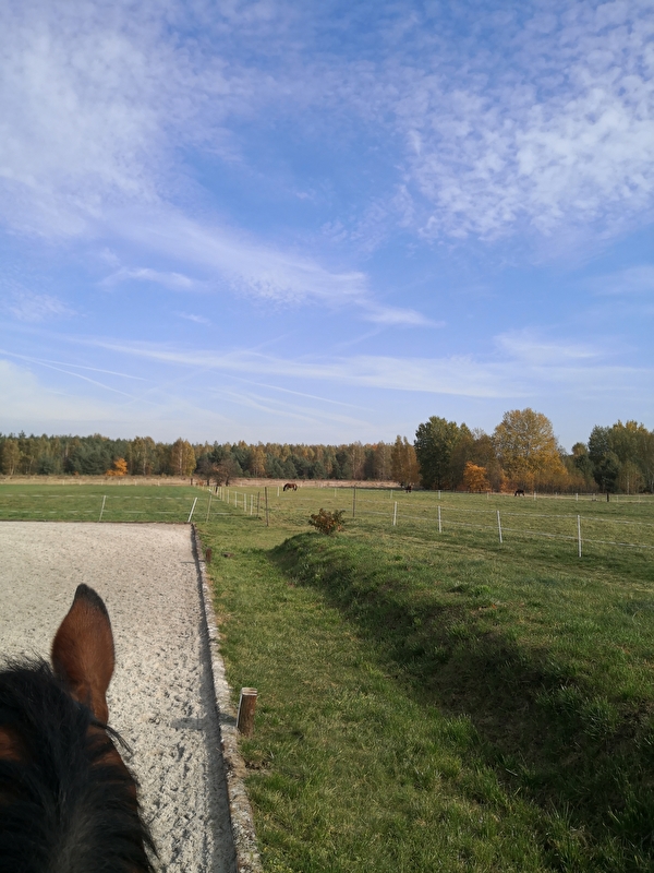 Stajnia w Zarębach - zdjęcie 6