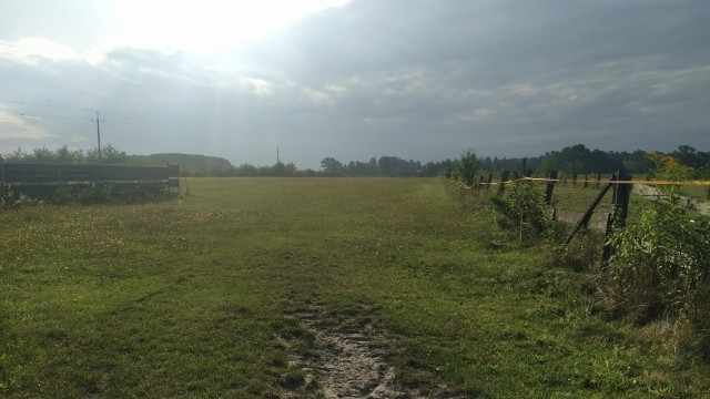 Stajnia Bogatki - zdjęcie 5