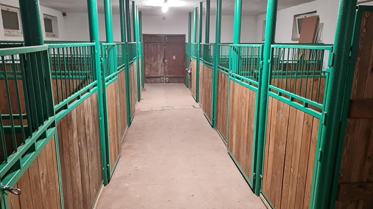 Stajnia Pod Lasem, Wilcza Góra - zdjęcie 1