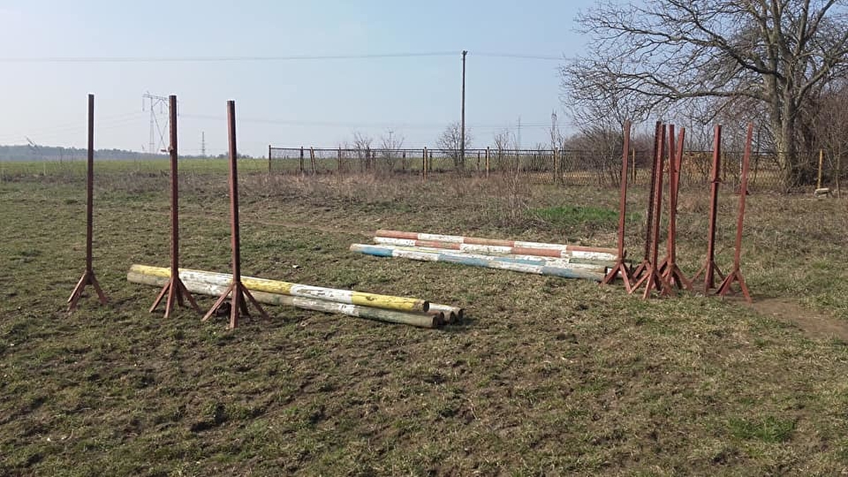 Stajnia Joachimów - zdjęcie 7