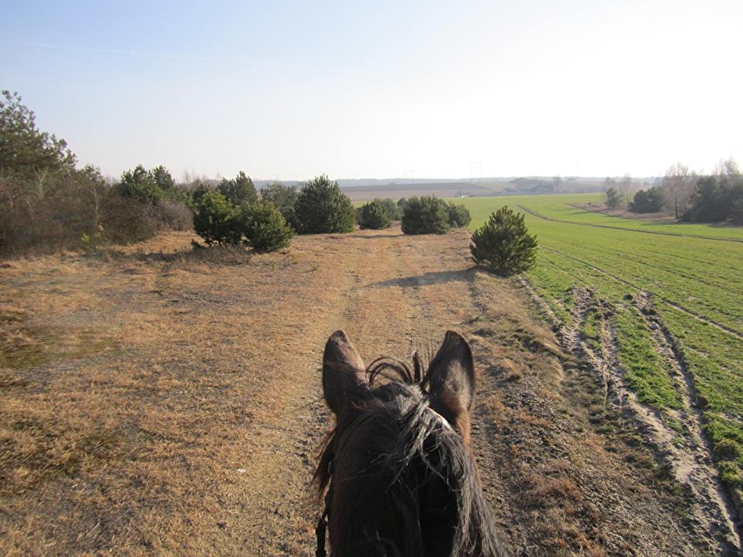 Stajnia Joachimów - zdjęcie 8