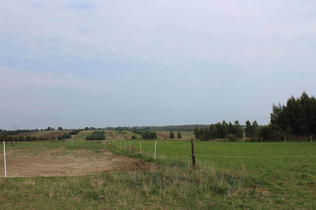 Stajnia Joachimów - zdjęcie 12
