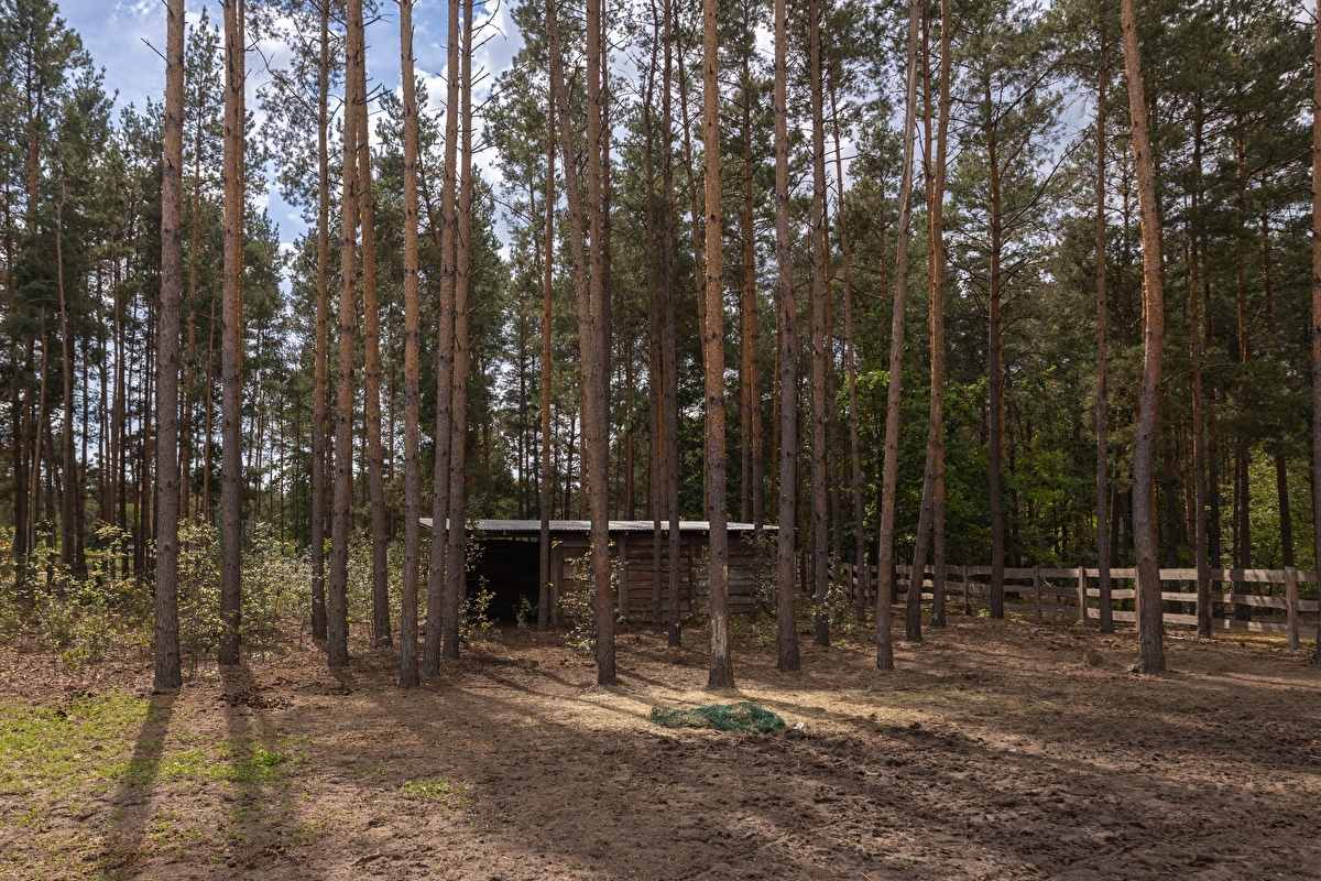 Equi-Park pensjonat i rehabilitacja koni - zdjęcie 2