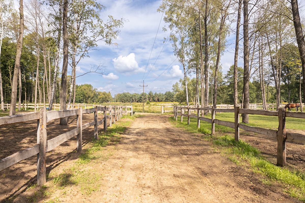Equi-Park pensjonat i rehabilitacja koni - zdjęcie 3