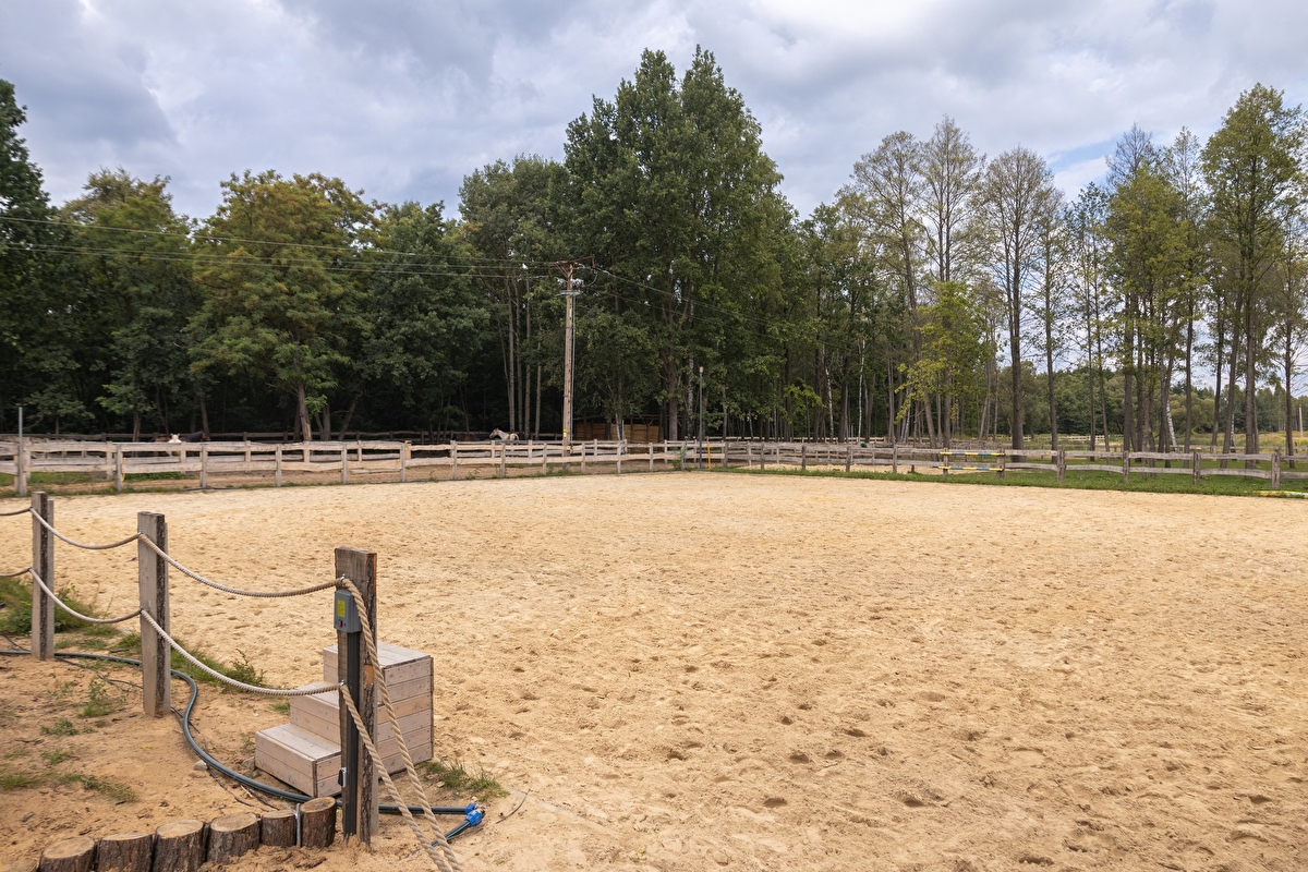 Equi-Park pensjonat i rehabilitacja koni - zdjęcie 5