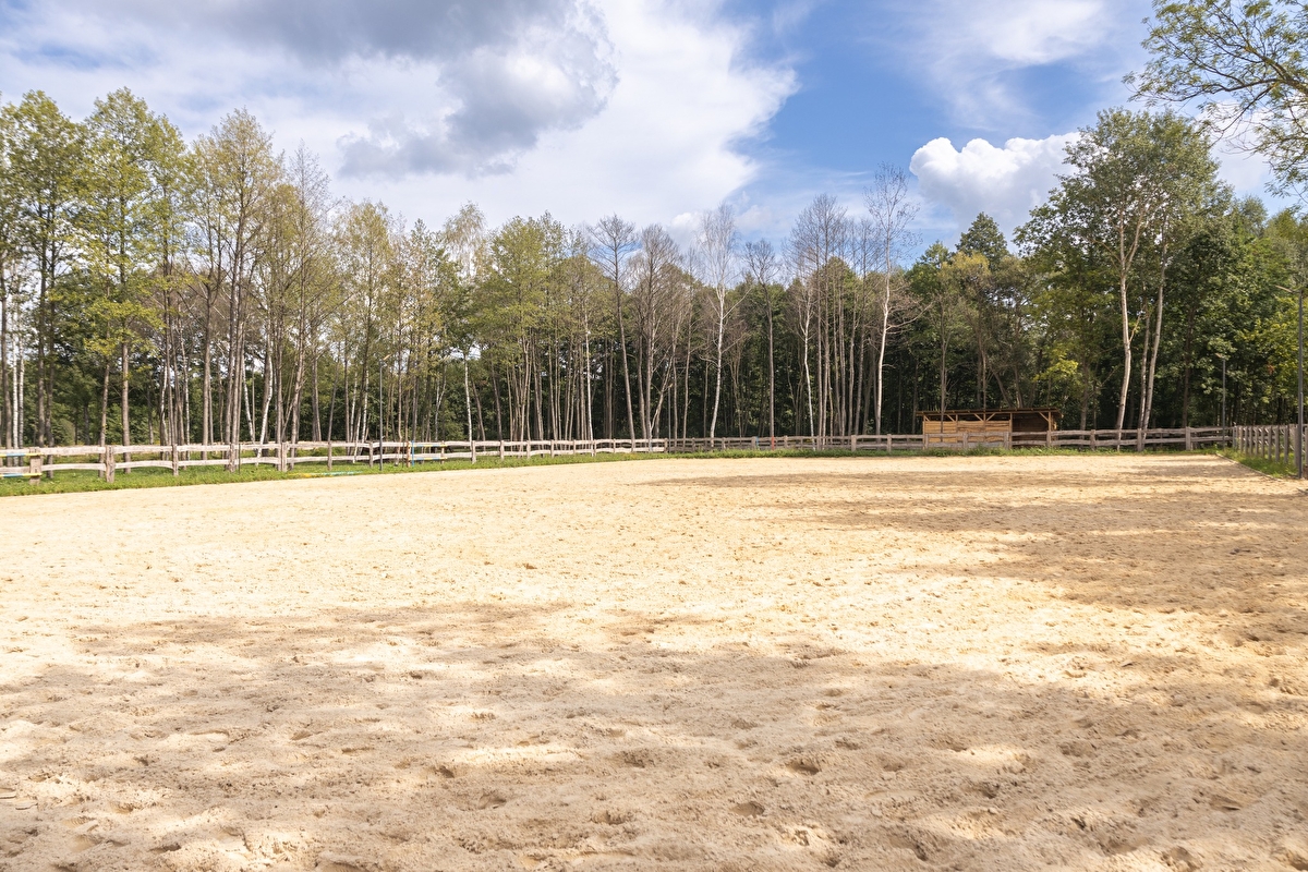 Equi-Park pensjonat i rehabilitacja koni - zdjęcie 6