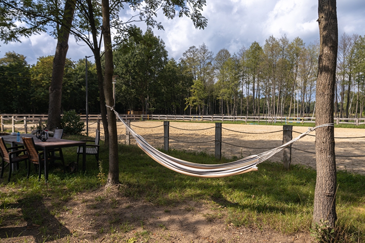 Equi-Park pensjonat i rehabilitacja koni - zdjęcie 7