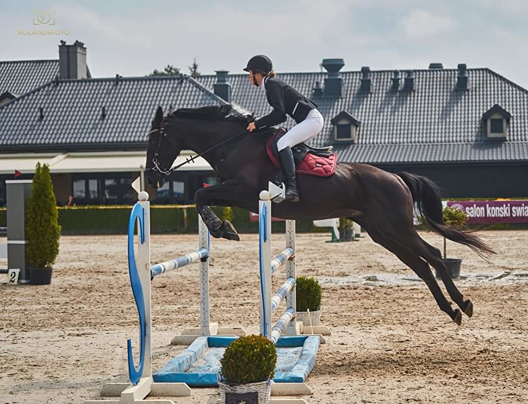 Mróz Equestrian Family - zdjęcie 1