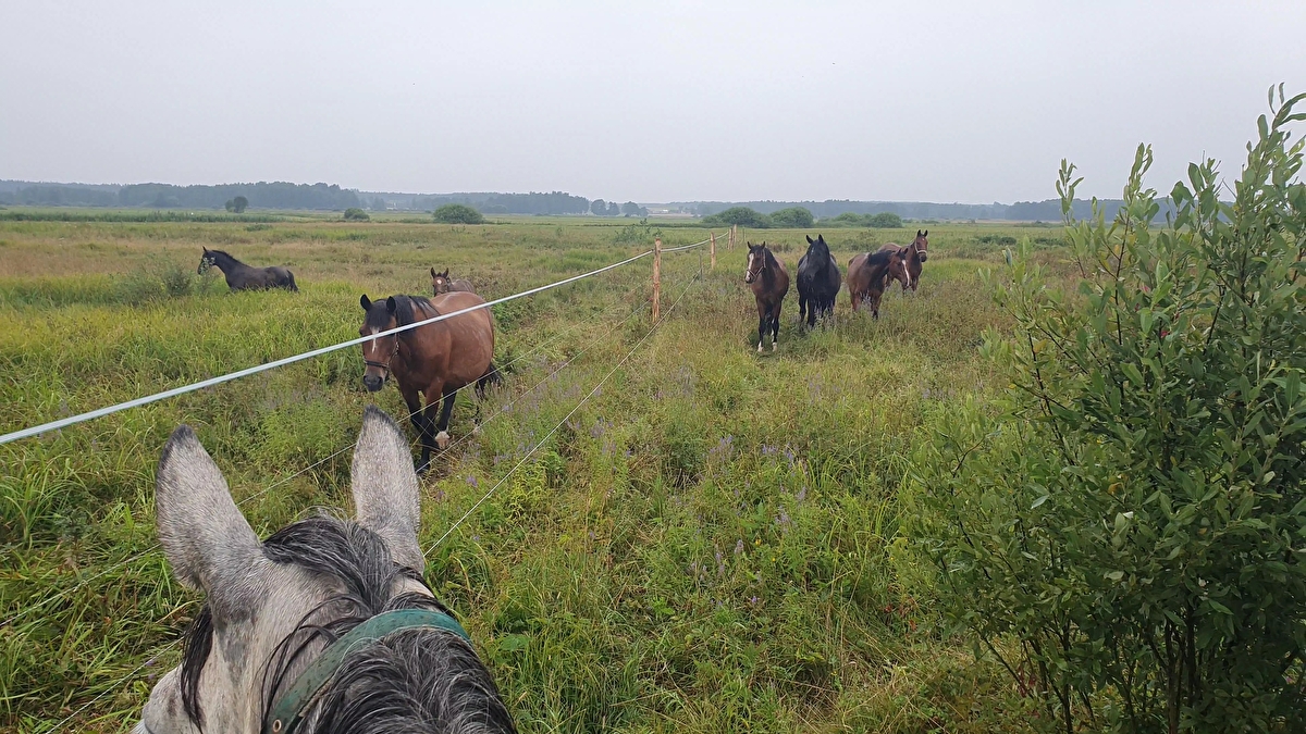 Mróz Equestrian Family - zdjęcie 4